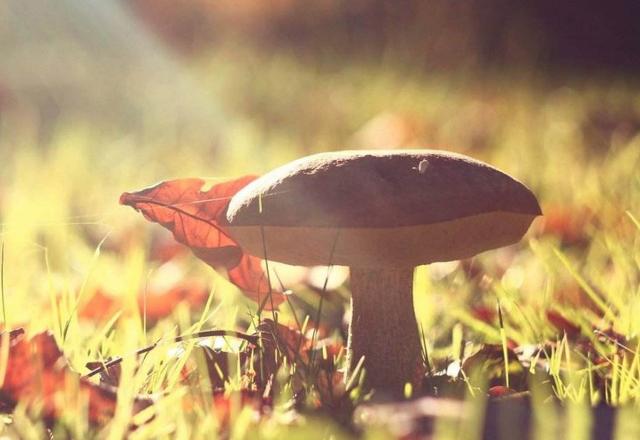 人到中年，想要往高處走，就要學會扔掉這4個“東西”