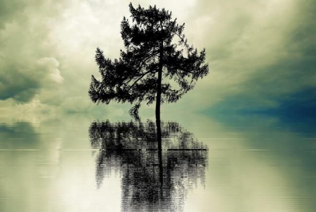 人到中年，想要往高處走，就要學會扔掉這4個“東西”