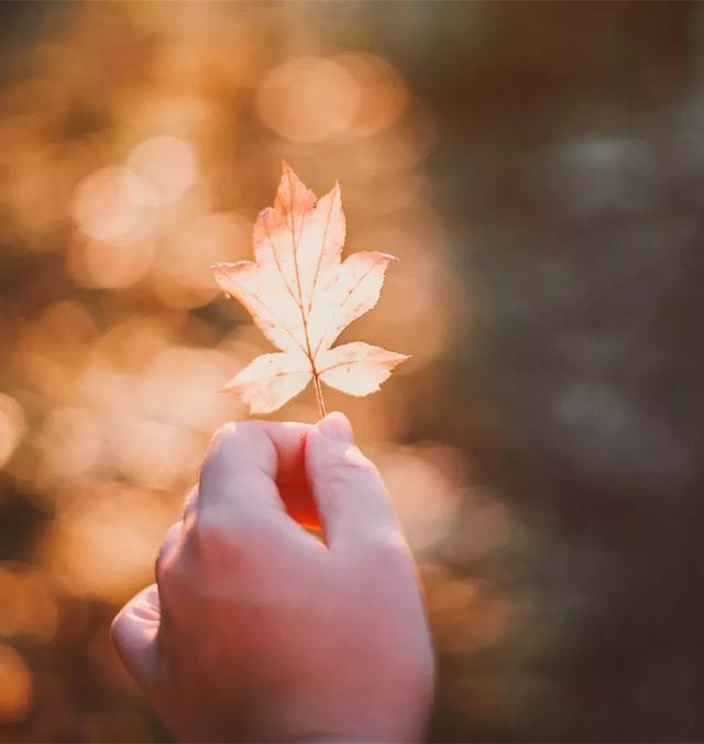 寫給心累，卻不得不堅強的你！