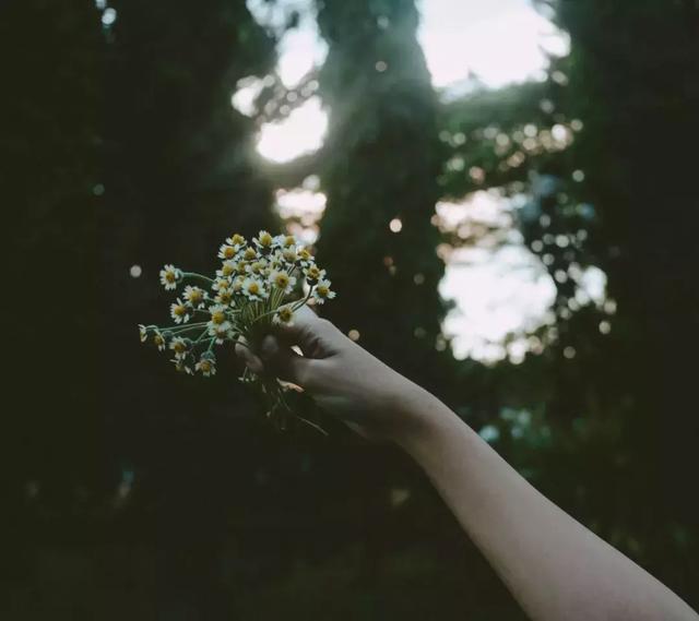 寫給心累，卻不得不堅強的你！