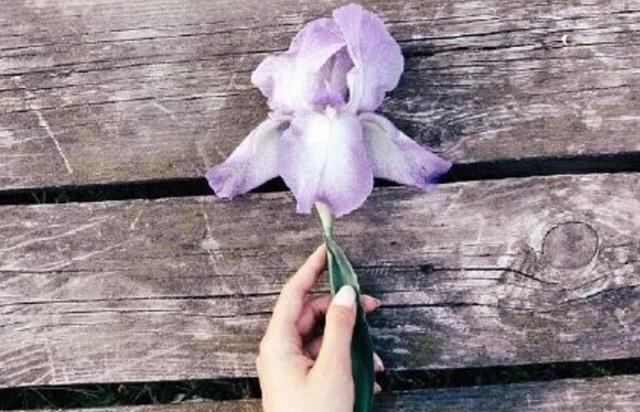 這個星座的感覺定義就像孤獨一樣無解