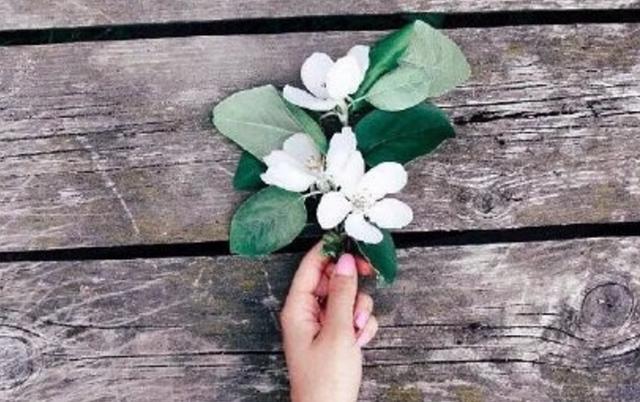 這個星座的感覺定義就像孤獨一樣無解