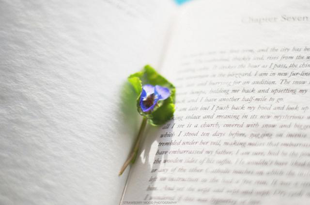 這個星座的感覺定義就像孤獨一樣無解