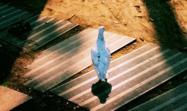 別大意，一次矛盾可能就會成為不合根源的星座