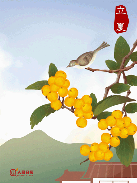 夏早日初長，南風草木香——今日立夏！