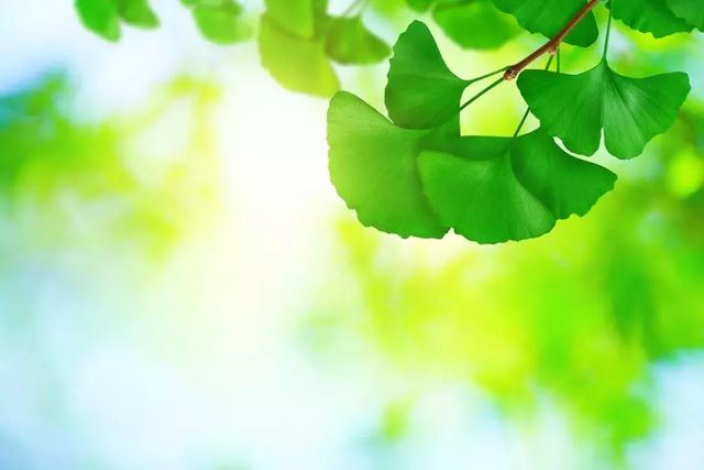 夏早日初長，南風草木香——今日立夏！