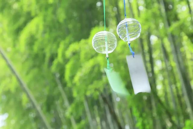 夏早日初長，南風草木香——今日立夏！