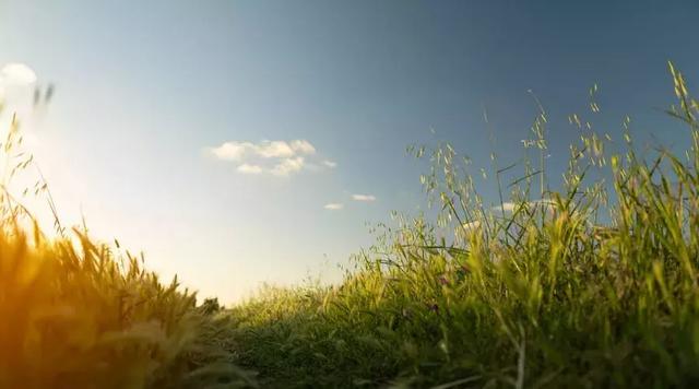 如果你感到絕望，就看看這4句話