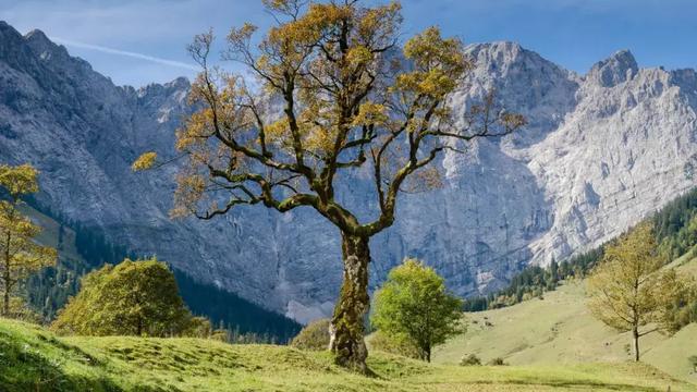 生命無常，且行且珍惜