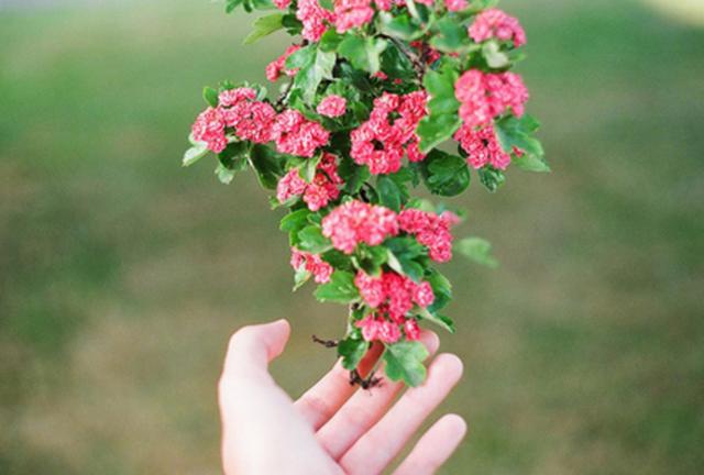 十多天不聯繫是一種什麼概念？ 哪些星座不吃這一套？
