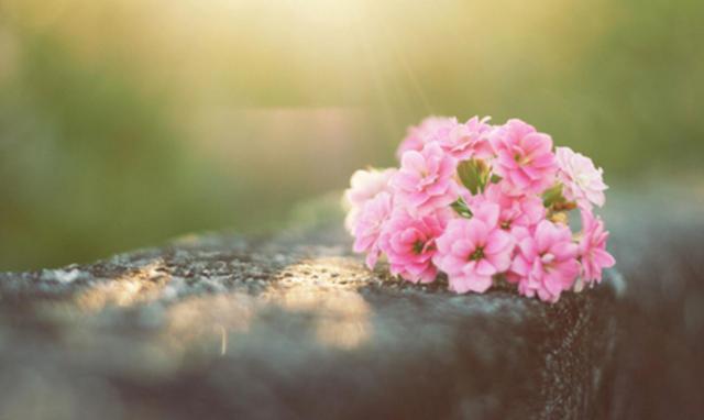 十多天不聯繫是一種什麼概念？ 哪些星座不吃這一套？