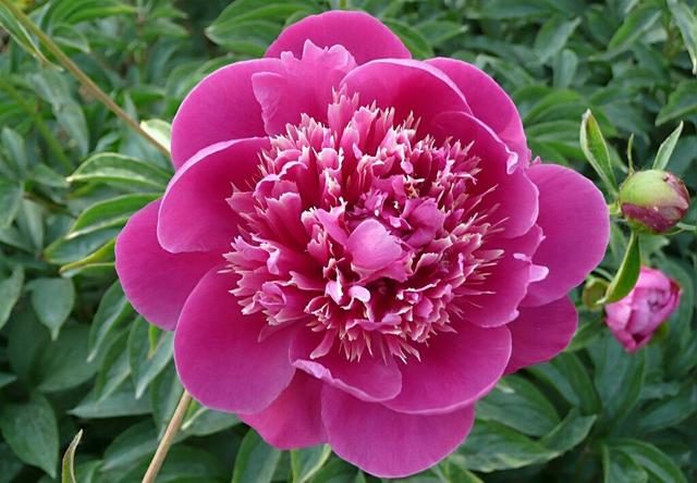 錢財再多都是消耗品，唯有人品才是積贊起來的厚重！