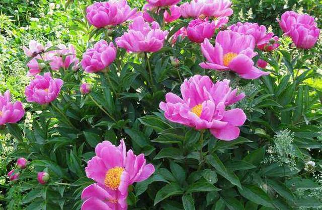 錢財再多都是消耗品，唯有人品才是積贊起來的厚重！