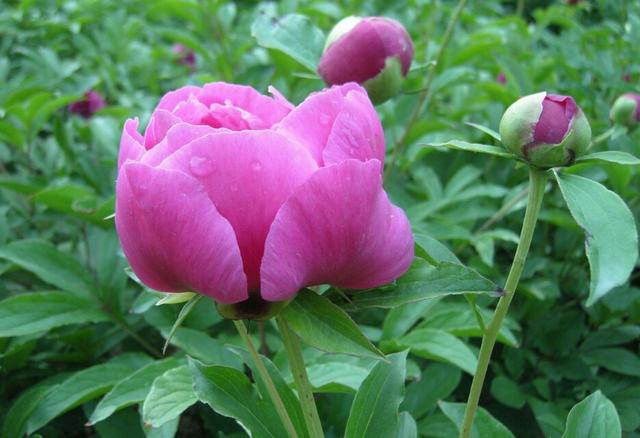 錢財再多都是消耗品，唯有人品才是積贊起來的厚重！