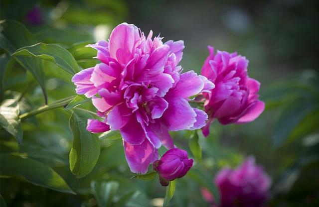 錢財再多都是消耗品，唯有人品才是積贊起來的厚重！