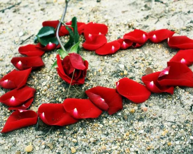 520，我只愛自己！