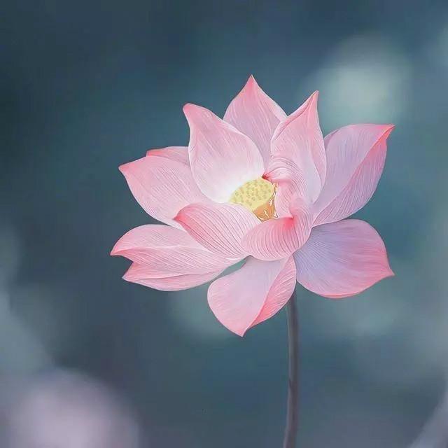 人心——是一塊田。