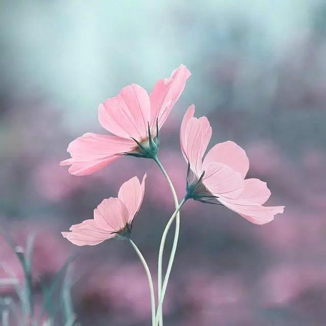 人心——是一塊田。