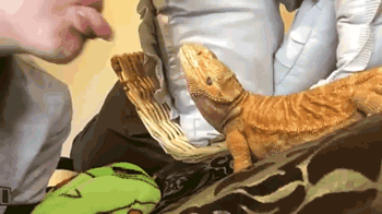 四個經濟學原理影響你的一生，早知道早受益！