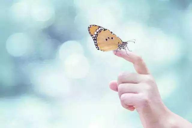 世上沒有笨孩子，只有笨父母。