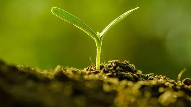 夏天的風（經典美文）