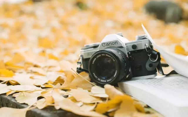 夏天的風（經典美文）