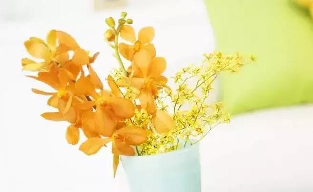 夏天的風（經典美文）