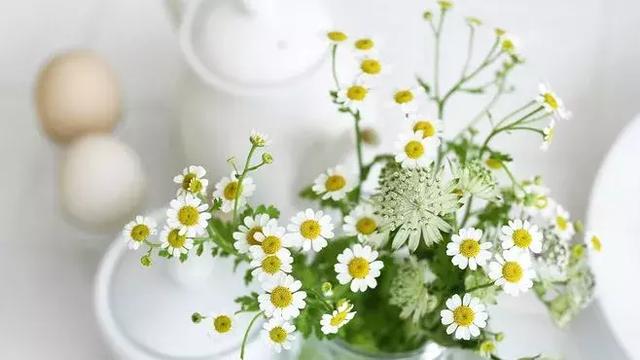 夏天的風（經典美文）