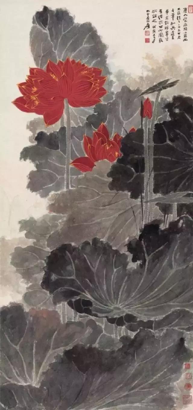 一朵五色荷，驚艷了全世界