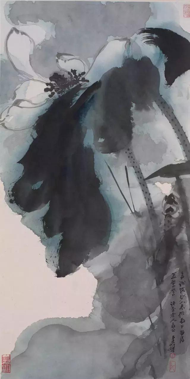 一朵五色荷，驚艷了全世界