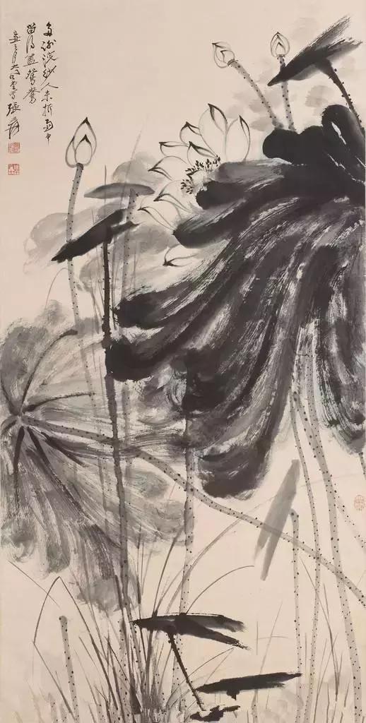 一朵五色荷，驚艷了全世界