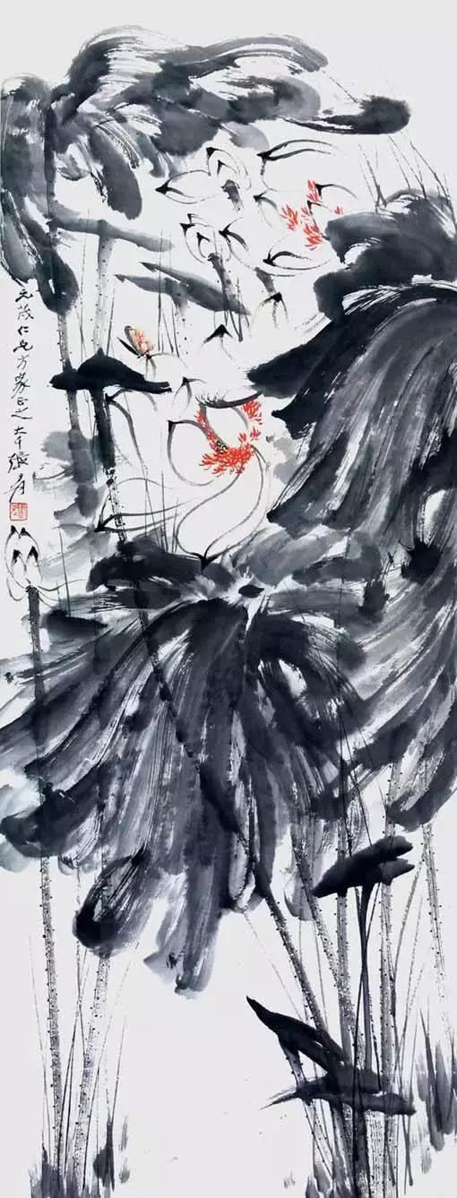 一朵五色荷，驚艷了全世界