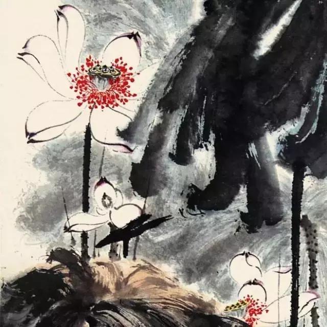 一朵五色荷，驚艷了全世界