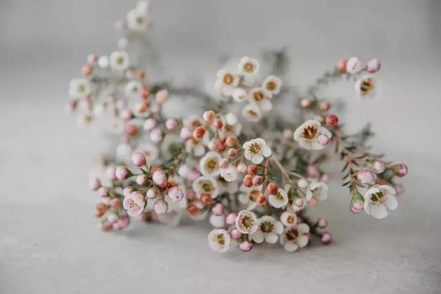 交到這樣的朋友，是一生的福氣