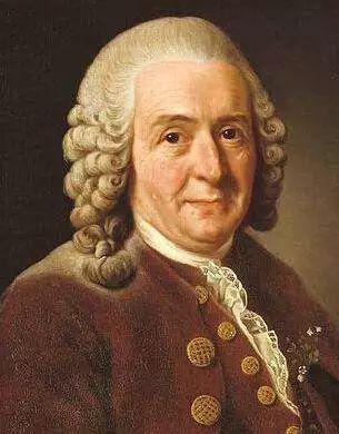 麻雀是一種鳥？ 你可能被騙了！