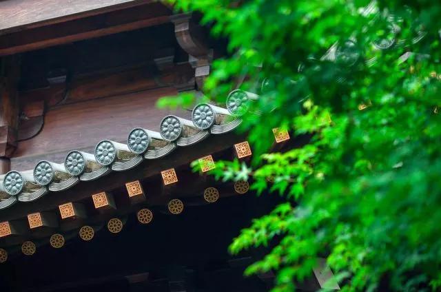 有苦有甜才是生活，有悲有喜才叫人生，不要煩惱了，上天自有安排