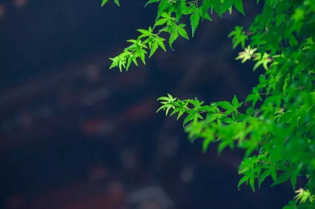 有苦有甜才是生活，有悲有喜才叫人生，不要煩惱了，上天自有安排