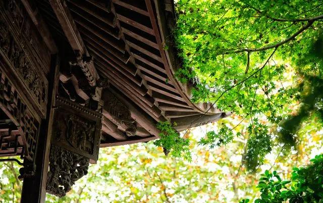 有苦有甜才是生活，有悲有喜才叫人生，不要煩惱了，上天自有安排