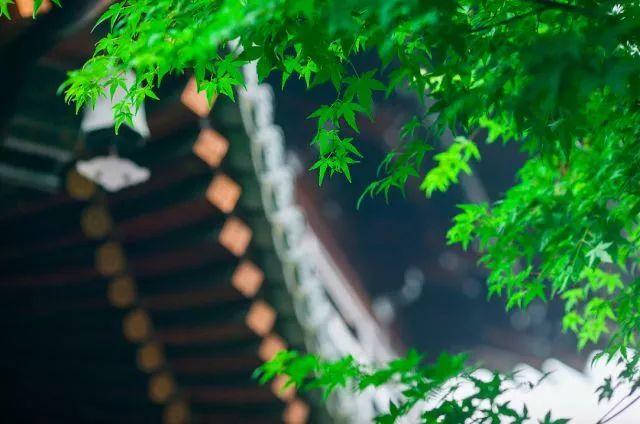 有苦有甜才是生活，有悲有喜才叫人生，不要煩惱了，上天自有安排