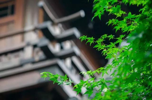 有苦有甜才是生活，有悲有喜才叫人生，不要煩惱了，上天自有安排