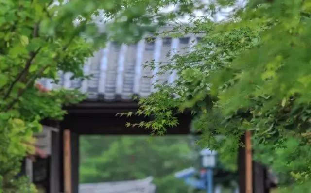 有苦有甜才是生活，有悲有喜才叫人生，不要煩惱了，上天自有安排