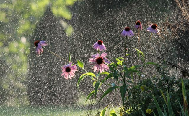 一個人的情緒是否能折射出一個人的心理？ 哪個星座是典型？