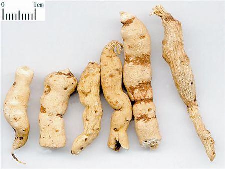 山藥一種吃法竟相當於服毒