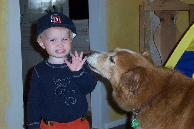 狗狗成天喜歡舔人，這是什麼病？ 太喜歡主人的病！