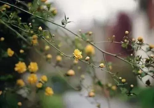 有些堅強，是現實逼出來的