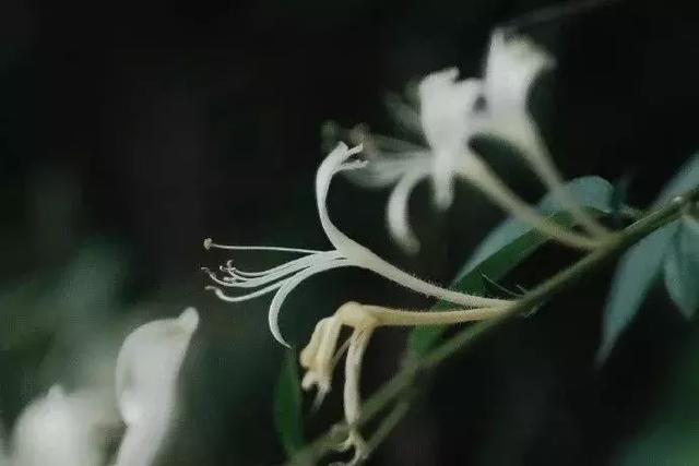 做人，讓自己高興，做事，讓別人放心！