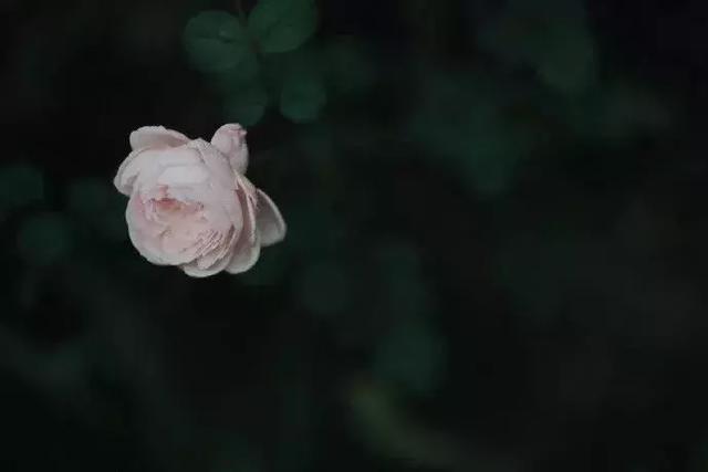 做人，讓自己高興，做事，讓別人放心！