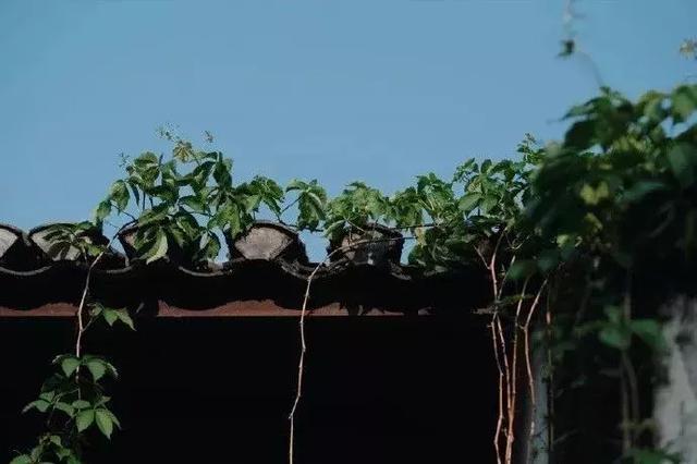 做人，讓自己高興，做事，讓別人放心！