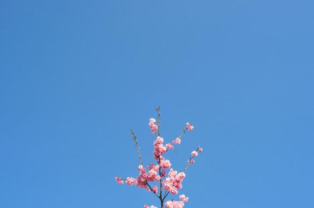 生活中，會有很多仰慕者的星座