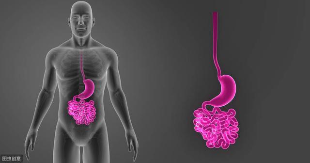 飯後1小時，這些事情別著急去做